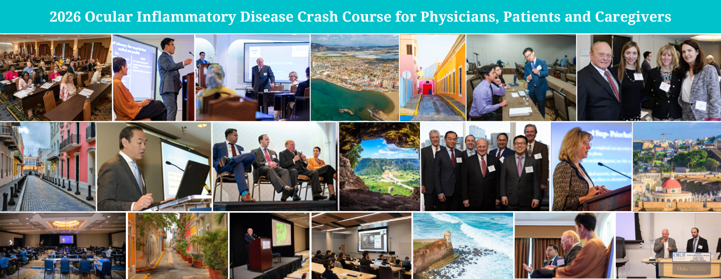 2026 Ocular Inflammatory Disease Crash Course